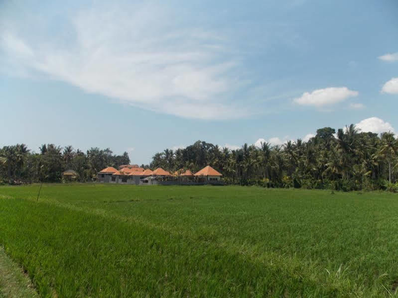 Asri Sari Villa Ubud Extérieur photo
